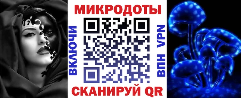 Псилоцибиновые грибы Psilocybe купить сайты нарко площадка какой сайт Сковородино