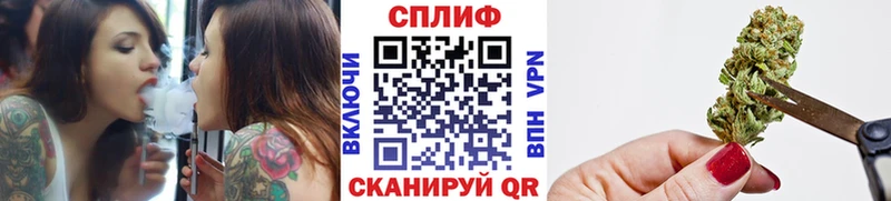 где можно купить Сковородино Канабис ГИДРОПОН